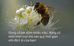 Chỉ cần làm được 1 việc này, con người sẽ bớt được mệt mỏi, muộn phiền