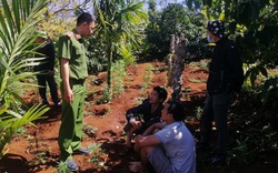 Đắk Lắk: Tạm giữ hình sự hai anh em trồng hơn 1.500 cây cần sa