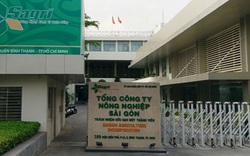 Vụ án tại Tổng Công ty Nông nghiệp Sài Gòn: "Nhúng chàm" vì nể nang "em trai nguyên Bí thư Thành ủy TP.HCM"