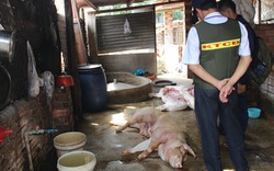 Bộ NNPTNT đề nghị công khai các cơ sở giết mổ lợn bệnh, lợn chết cho dân biết