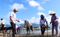 Khánh Hòa: Gần 13 tỷ đồng thực hiện nhiệm vụ, dự án bảo vệ môi trường