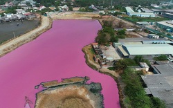 CLIP: Kinh hoàng hồ nước rộng lớn chuyển thành màu tím
