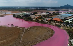 Nước đầm bỗng dưng chuyển thành màu hồng: Tạm dừng hoạt động 4 tháng rưỡi với Công ty Nghê Huỳnh