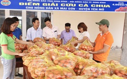 Ninh Bình: Bán 10kg cà chua chưa mua nổi bát phở, Hội Nông dân vào cuộc giải cứu