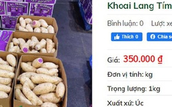 Khuyến mãi sâu, khoai lang tím Úc vẫn có giá 100.000 đồng/kg