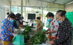 TP.Hồ Chí Minh: “Rót” tiền tỷ vào hợp tác xã giúp nông dân tăng thu nhập