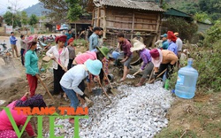 Hội Nông dân tỉnh Sơn La: Vận động hội viên góp hàng chục nghìn ngày công XDNTM 