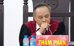 Thẩm phán Trương Việt Toàn: Nếu Bộ Công Thương ký đúng luật, đã không có tới 19 bị cáo phải hầu tòa