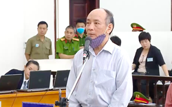 Bị cáo 72 tuổi vụ Gang thép Thái Nguyên bị đề nghị đến 11 năm tù
