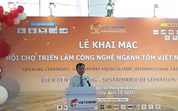 Ngành tôm Việt Nam đặt kỳ vọng xuất khẩu tôm đạt mục tiêu 5-6 tỷ USD/năm