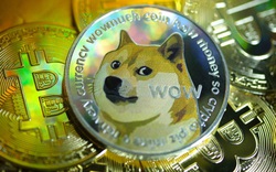 Tiền ảo Dogecoin tăng 85% trong vòng 24 giờ nhờ thương vụ IPO Coinbase