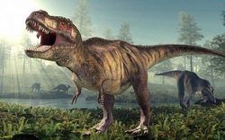 Bật mí về loài khủng long từng thống trị Trái đất