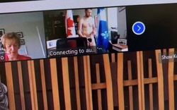 Nghị sĩ Canada đi họp mà khỏa thân trần như nhộng