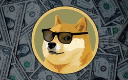 Dogecoin tăng 400% trong 1 tuần và lời cảnh báo về bong bóng tiền điện tử