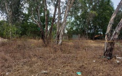Bà Rịa - Vũng Tàu: Bé gái 5 tuổi tử vong ở bãi đất trống, nghi bị xâm hại tình dục