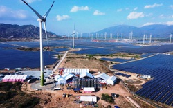 Lãnh đạo Trung Nam Group nói gì về nhà máy điện gió “khủng” nhất Việt Nam 