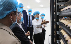 Khánh thành nhà máy ấp trứng gia cầm 200 tỷ đồng: "Bước đệm" đưa thịt gà Việt sang châu Âu