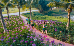 Ecopark Marathon 2021 - Ngắm cung đường chạy giữa thiên nhiên "siêu chất" trước giờ G