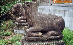 Độc - lạ hình tượng con trâu trong văn hóa Việt