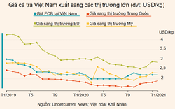 Ngành cá tra Việt Nam có nguy cơ thiếu cung