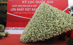 Kỷ lục Việt bị giễu: Chưa bao giờ "to nhất, dài nhất" rầm rộ như hiện nay