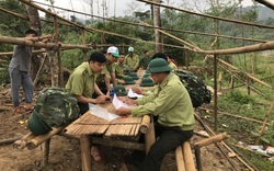 Dự án Rừng và Đồng bằng Việt Nam do USAID tài trợ trên 31 triệu USD