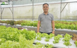 Đà Nẵng: 8X khởi nghiệp thành công với vườn rau thông minh 4.0 đầu tiên tại Việt Nam
