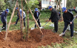 Lâm Đồng: Trồng 50 triệu cây xanh với phương châm "trồng cây nào, sống cây đó"