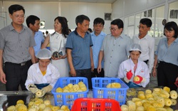 Chủ tịch Hội Nông dân Việt Nam thăm nhà máy chế biến rau quả xuất khẩu lớn ở huyện biên giới tỉnh Lào Cai