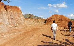 Gia Lai: Bắt quả tang 1 doanh nghiệp khai thác trộm đất để thi công đường 460 tỷ