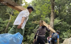 "Moi ruột" Vườn quốc gia Hoàng Liên (Bài 2): "Lâm tặc" kể mánh phá rừng pơ mu ngay giữa lõi Vườn quốc gia