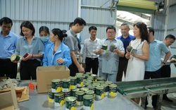Chủ tịch TƯ Hội Nông dân Việt Nam: Quả dứa sẽ là hướng đi mở cho người nông dân ở Mường Khương