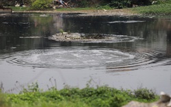 Ô nhiễm tại làng giấy Phong Khê: Người dân Bắc Giang bức xúc vì nước sông Cầu tiếp tục bị ô nhiễm