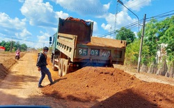 Vụ khai thác trộm đất để làm đường 460 tỷ: Thành lập đoàn liên ngành để kiểm tra, xử lý 