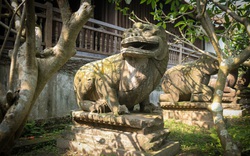 Bất ngờ ý nghĩa thực sự của bộ tượng linh thú nghìn tuổi ở chùa Phật Tích