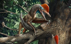 Liệu có thật sự tồn tại loài khủng long cổ đại có bàn tay giống con người?