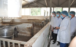 Lào Cai: "Đại bản doanh" nuôi con đặc sản thu 10 tỷ đồng mỗi năm ở huyện Bắc Hà