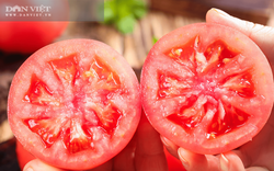 4 mẹo nhỏ giúp chọn cà chua tươi ngon, vỏ mỏng, nhiều thịt nhất 
