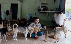 Câu chuyện của người CSGT giải cứu hàng trăm chó, mèo gặp nạn