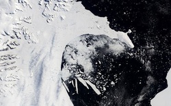 Thềm băng lớn thứ tư ở Nam Cực sẽ sớm bị sụp đổ