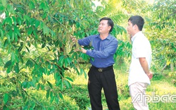 Tiền Giang: Bỏ kiểu nuôi, trồng "ôm đồm, lung tung", chuyên tâm trồng sầu riêng chuẩn ngon, ông nông dân này giàu hẳn lên