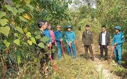 Hạt Kiểm lâm Mộc Châu: Làm tốt công tác bảo vệ và trồng rừng