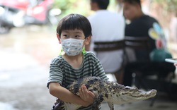 TPHCM: Trẻ em háo hức đến quán cà phê "độc nhất vô nhị" chơi đùa với "thú cưng tiền tỷ"