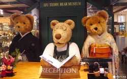 Vì sao Teddy Bear Museum hấp dẫn toàn thế giới?