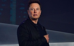 Elon Musk liệu sẽ xây dựng Công viên kỷ Jura ngoài đời thực?
