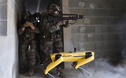 Quân đội Pháp đang thử nghiệm chó Robot trong chiến đấu