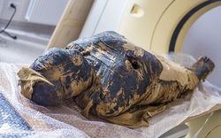 Phát hiện một xác ướp Ai Cập cổ đại đang mang thai 2.000 năm tuổi