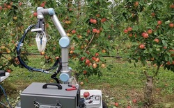 Robot siêu đỉnh ra mắt, người nông dân nhàn hạ 