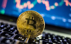 Mua bán Bitcoin ở Việt Nam bị xử phạt thế nào?