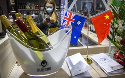Rượu vang Úc mắc kẹt, chất đống tại cảng Trung Quốc: Canberra tìm cách giải cứu